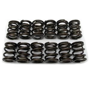 Valve Spring Set (12) - 7mm valve type (Up-Rated - Competition / Road)